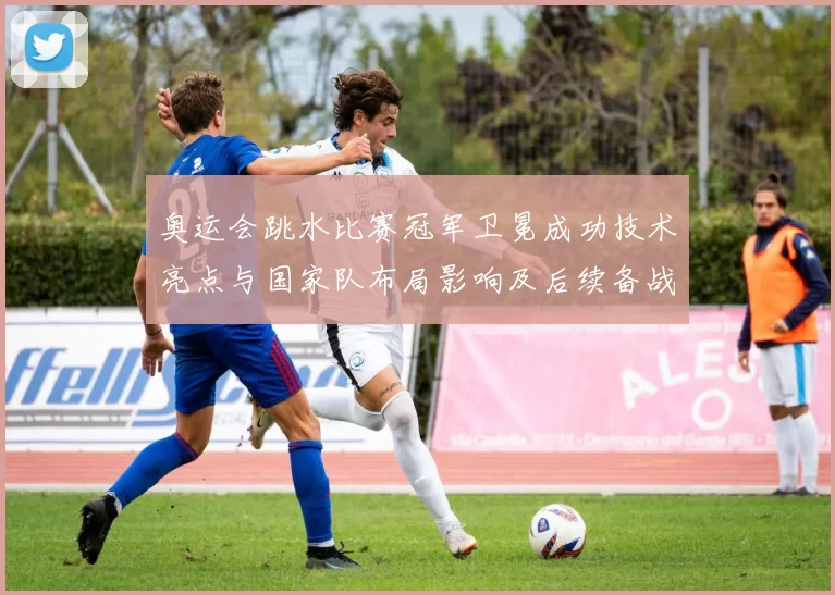 奥运会跳水比赛冠军卫冕成功技术亮点与国家队布局影响及后续备战建议