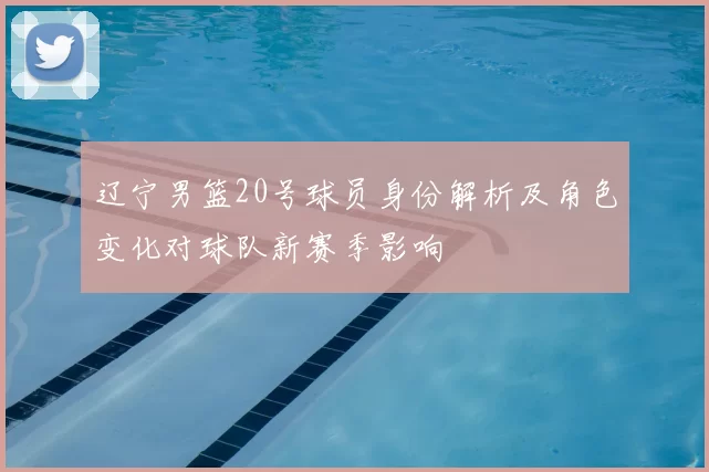 辽宁男篮20号球员身份解析及角色变化对球队新赛季影响