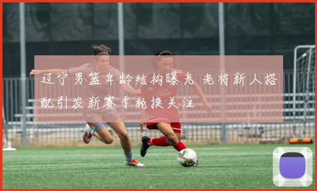 辽宁男篮年龄结构曝光 老将新人搭配引发新赛季轮换关注