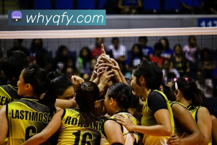 火狐官方网站 - 火狐(中国)品牌故事